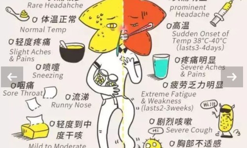 护彤能当退烧药吗-护彤能当退烧药吗-护彤可以退烧吗,中国护彤和布洛芬哪个退烧效果好网站